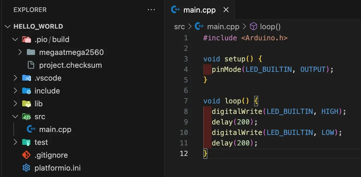 Platform IO project structure